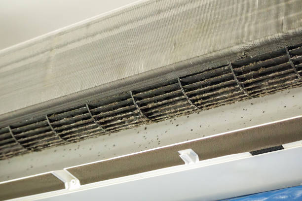 Best Air Duct Cleaning Near Me  in Bridgeport, MI