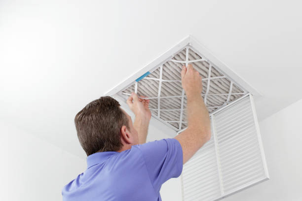 Best HVAC Duct Inspection Services  in Bridgeport, MI